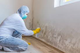 Best Mold Damage Restoration  in Longmont, CO